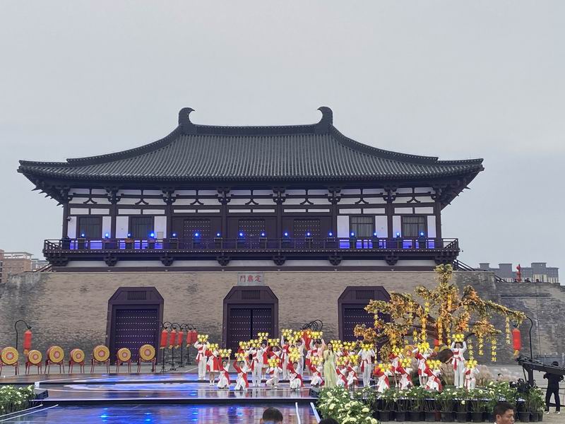 图片5